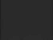 Черное покрытие (порошковая краска цвета RAL 9005)